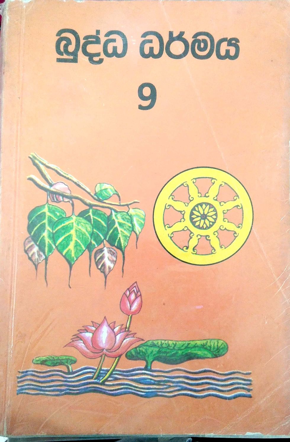 බුද්ධ ධර්මය 