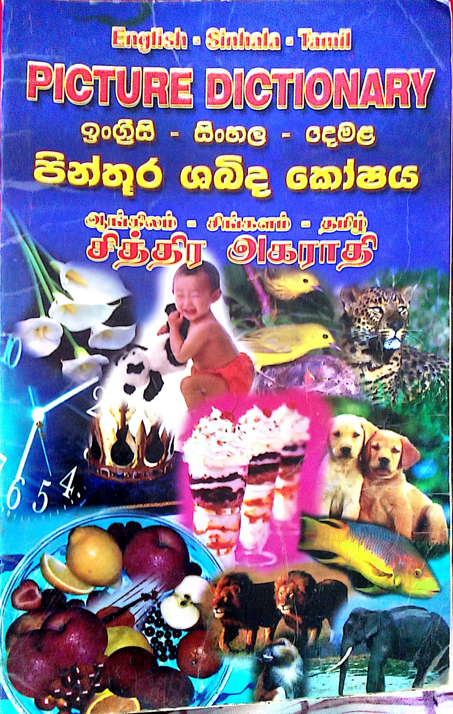 පින්තුර ශබ්ද කෝෂය 